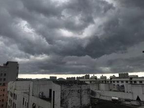 狂风骤雨最新爆料视频,揭秘剧情高潮与角色命运转折